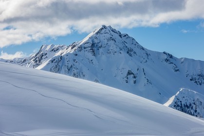 Auron