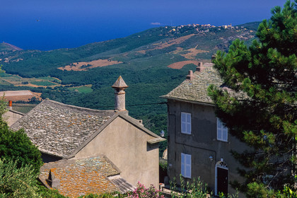 Rogliano