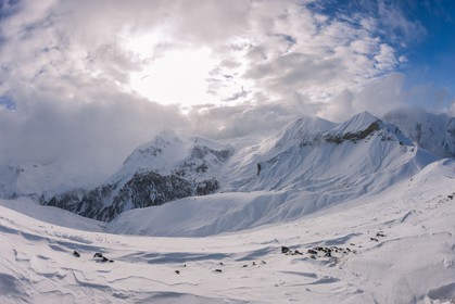 Auron