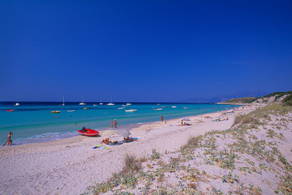 Saleccia
