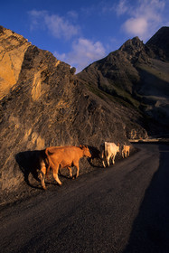 Col des Champs