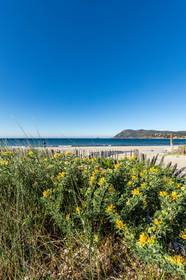 Plage des Sablettes