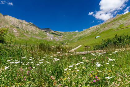 La Foux d'Allos
