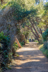 Lérins Sainte-Marguerite