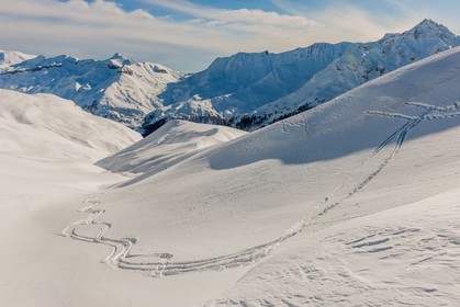 Auron