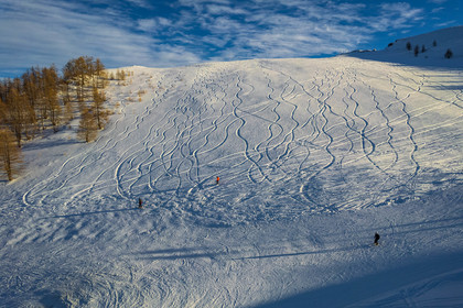 Auron