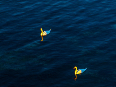 Lérins Sainte Marguerite 2024