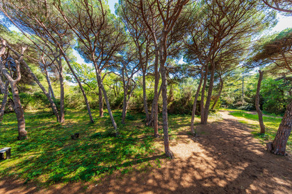 Lérins, Sainte-Marguerite