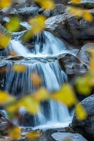Automne