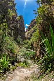 Ile de La Réunion