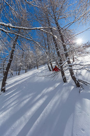 Snowboard
