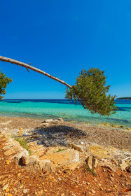 Lérins, Sainte-Marguerite