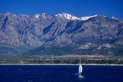 Calvi