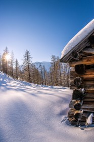 Auron