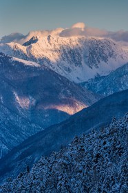 Auron