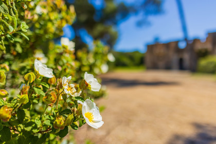 Lérins Sainte-Marguerite 2024