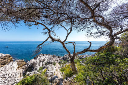 Roquebrune-Cap-Martin