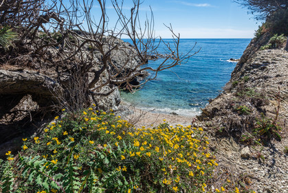Six-Fours-les-Plages