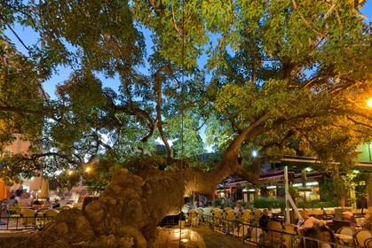 Porto Vecchio