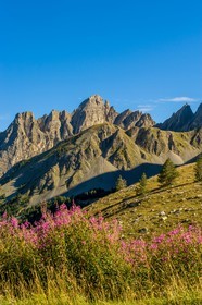 Col des Champs