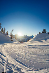 Isola 2000