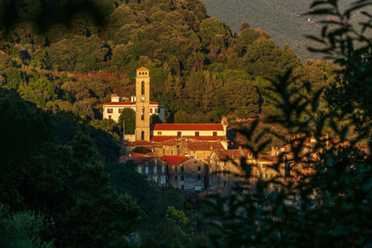 Vico