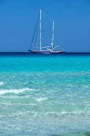 Saleccia