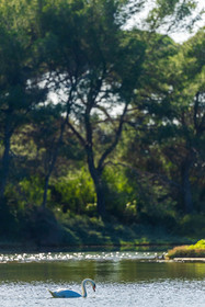 Lérins Sainte-Marguerite