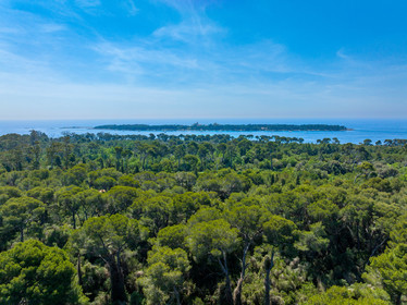 Lérins Sainte-Marguerite