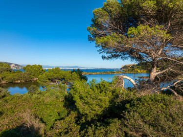 Lérins Sainte Marguerite 2024