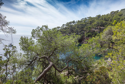 Saint-Cyr-sur-Mer