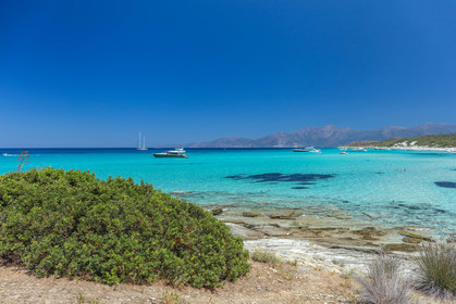 Saleccia