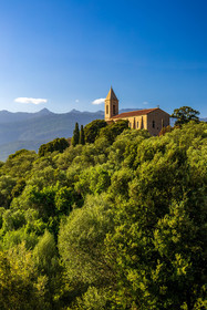 Figari