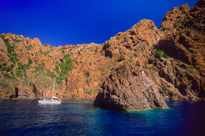 Scandola