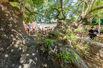 Porto-Vecchio