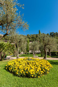 Grasse