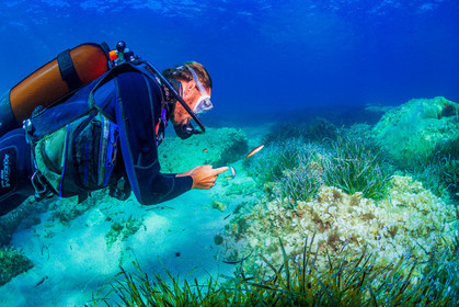 Plongée-sous-marine