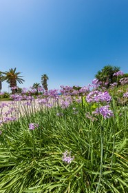 Six-Fours-les-Plages