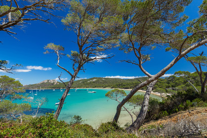 Porquerolles