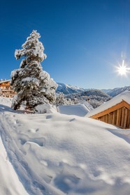 Auron