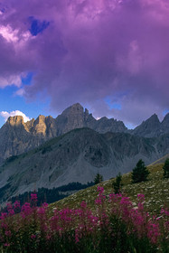 Col des Champs