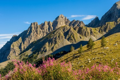 Col des Champs