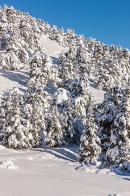 Gréolières-les-Neiges