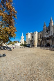 Avignon
