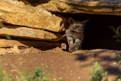 Parc animalier de la Barben