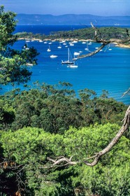 Porquerolles