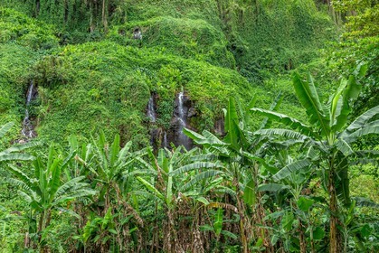 Ile de La Réunion
