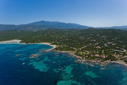 Figari