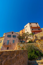 Calvi