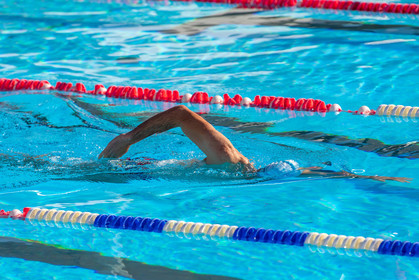 Natation